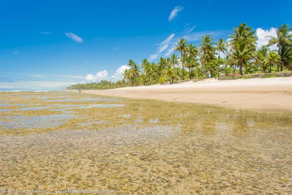 Imagem das águas claras e calmas do mar fascinante da Praia Taipu de Fora.